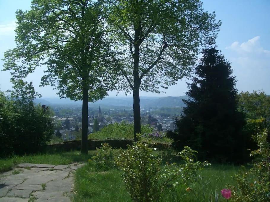 Villa Heckenfels Bad Honnef Luaran gambar