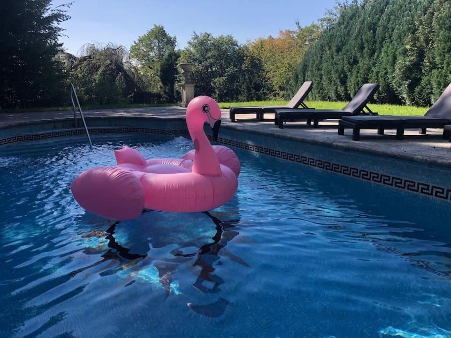Villa Heckenfels Bad Honnef Luaran gambar